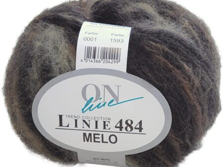 Online Linie 484 Melo